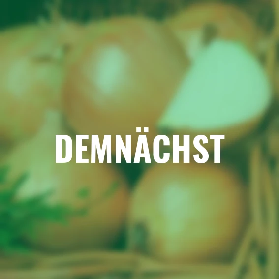 Steckzwiebel Alpha, 250 g