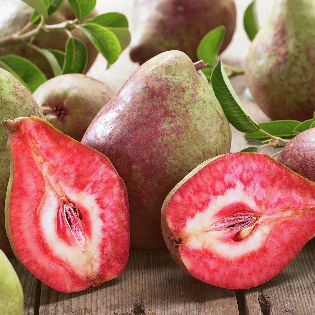 Rotfleischige Birne Vampira