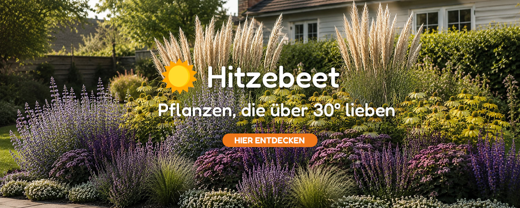 Sommerblumen
