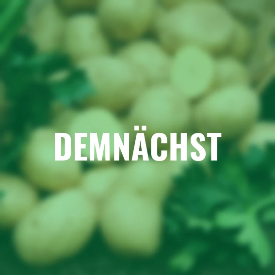 BIO Kartoffel Gunda, 10 Stück