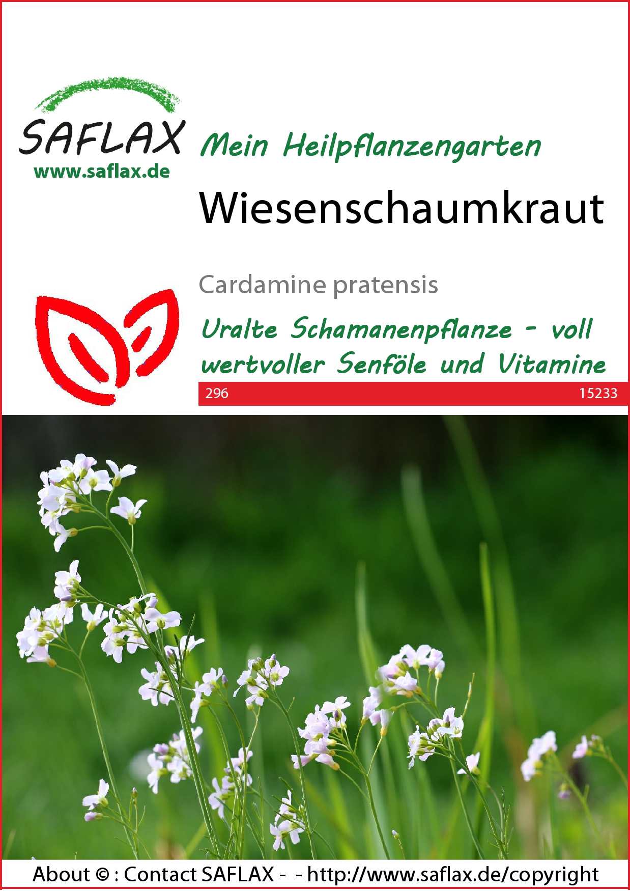Wiesenschaumkraut - Samen