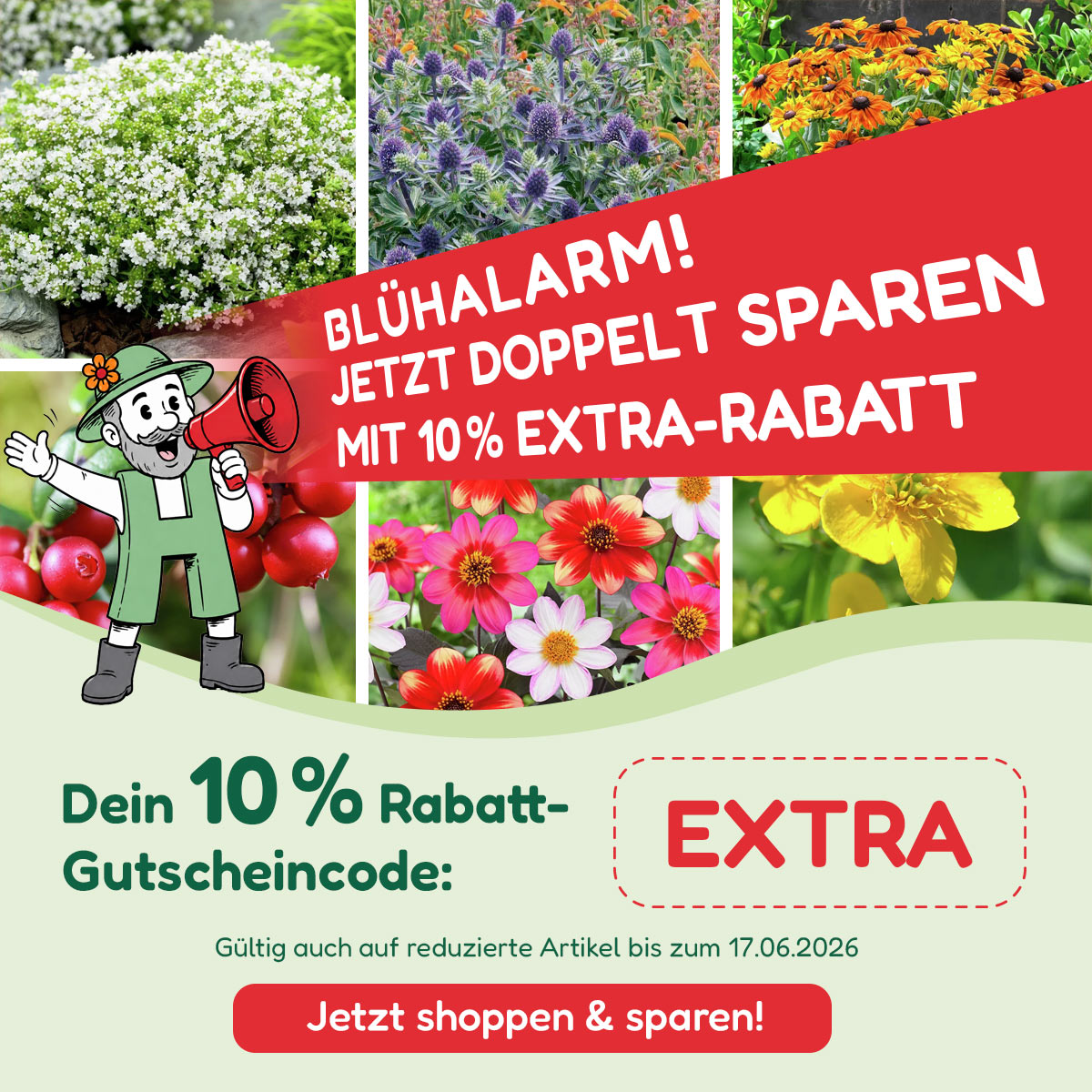 zahnpasta mit aloe vera Bio Zahnpasta mit Aloe Vera – biorundum main image 1