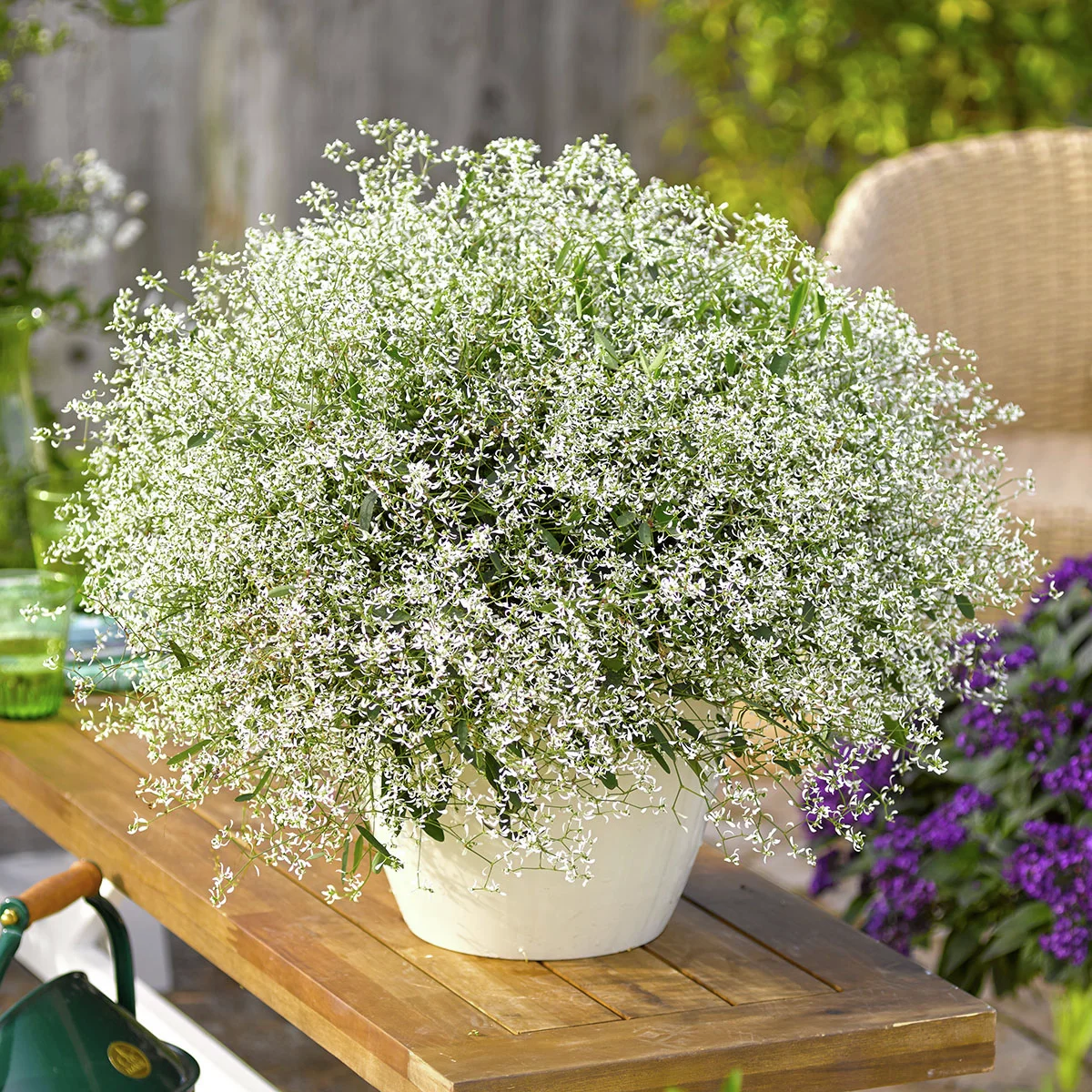 Zauberschnee Diamond Frost™