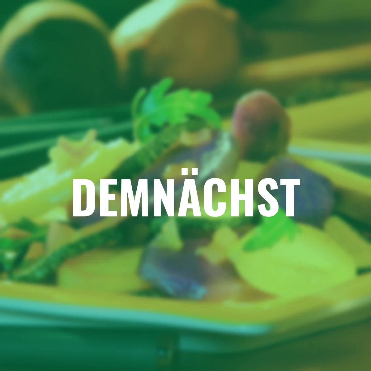 Kartoffel Blaue St. Galler, 1 kg