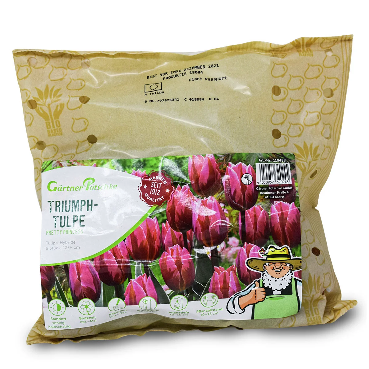 Tulpe Pretty Princess