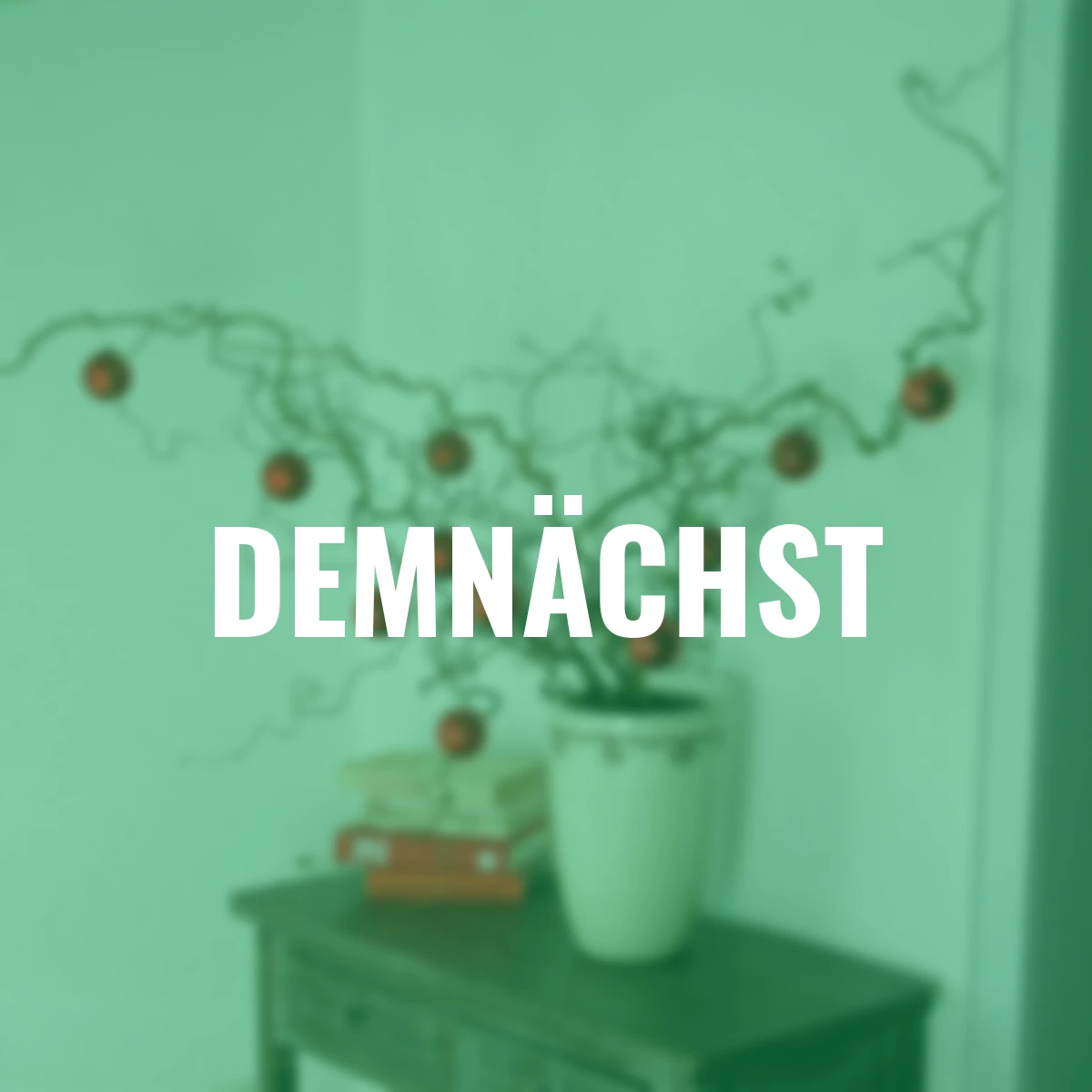 Korkenzieherhaselzweige