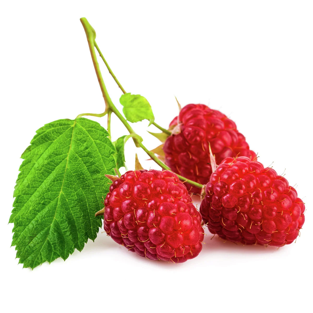 BIO Himbeere Autum First®