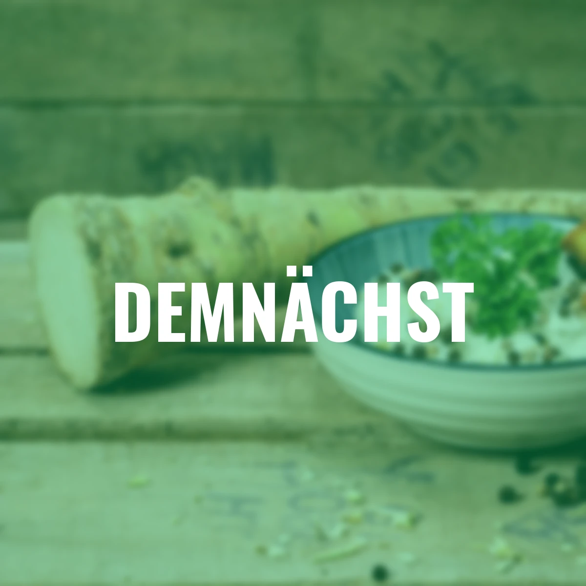 Gewürzpflanze Meerrettich Vitara®