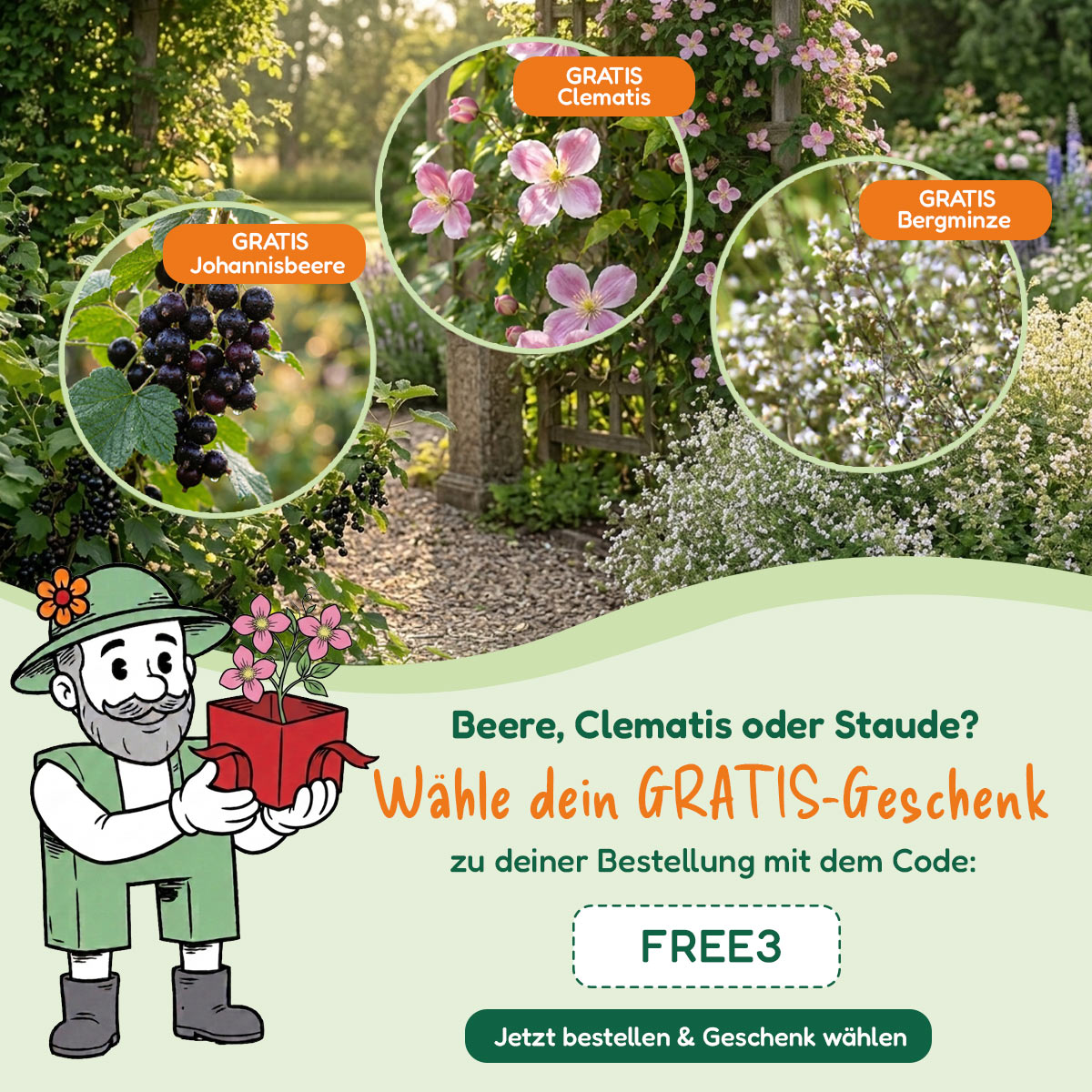 Sommerblumen