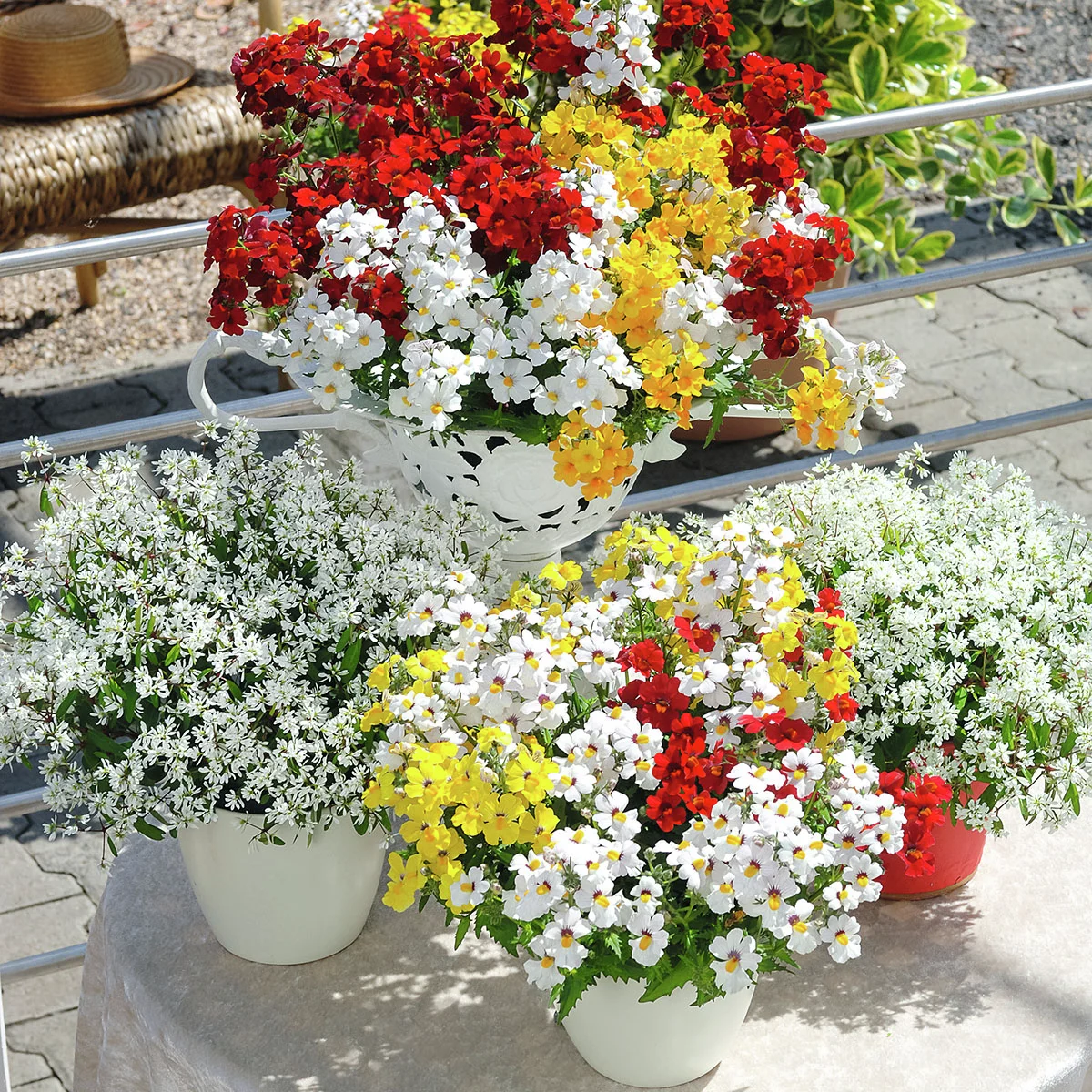 Trio-Elfenspiegel Triomio Little Alegria